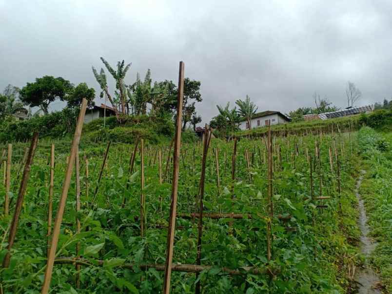 tanah kawasan wisata alam