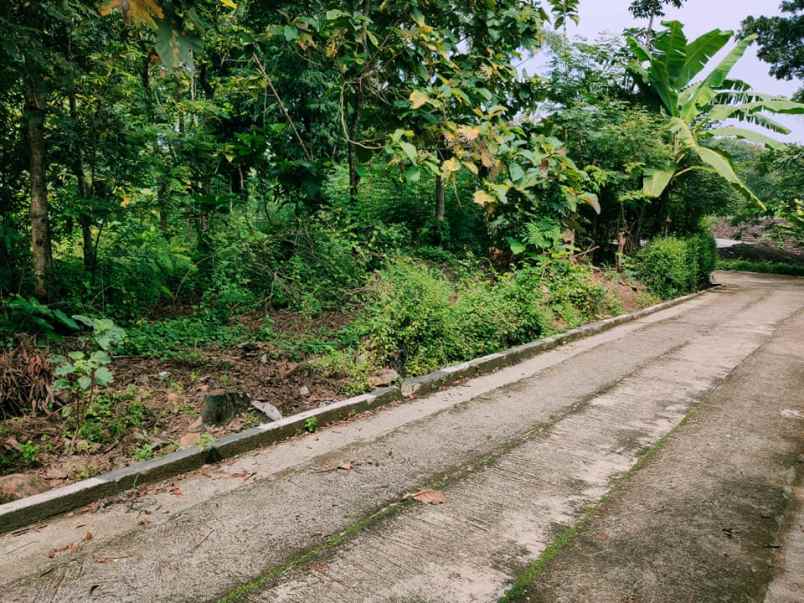 tanah kerjo karanganyar