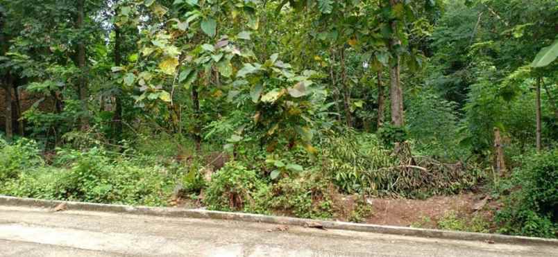 tanah kerjo karanganyar