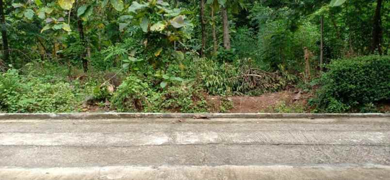 tanah kerjo karanganyar