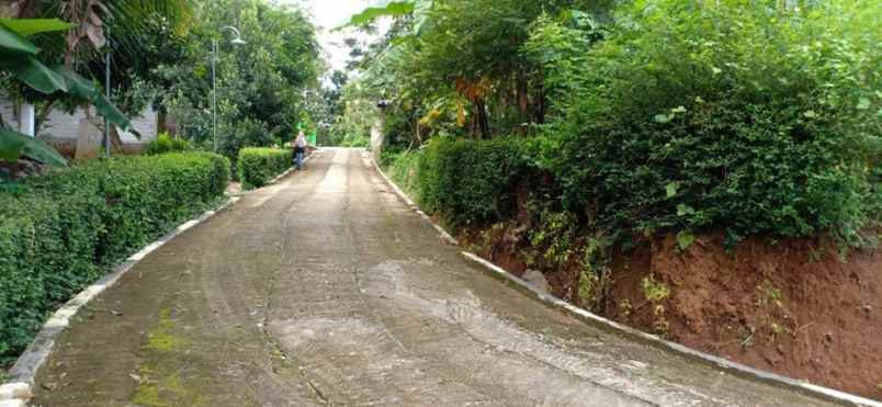 tanah kerjo karanganyar