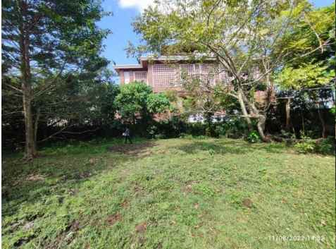 tanah kosong dekat puspem badung