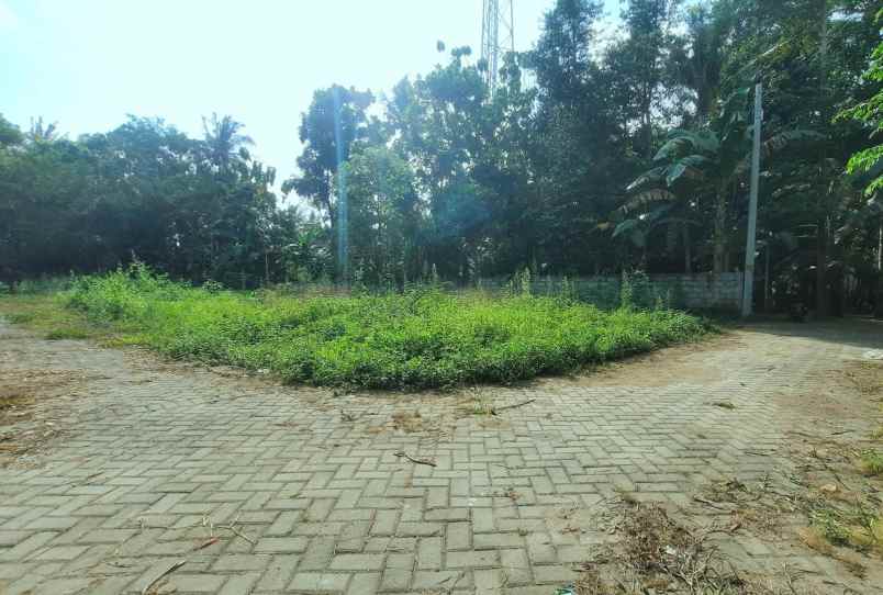 tanah margomulyo seyegan 200 meter jl kebon agung