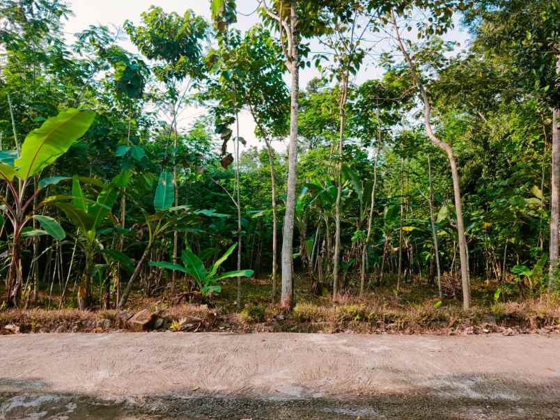 tanah mojogedang karanganyar