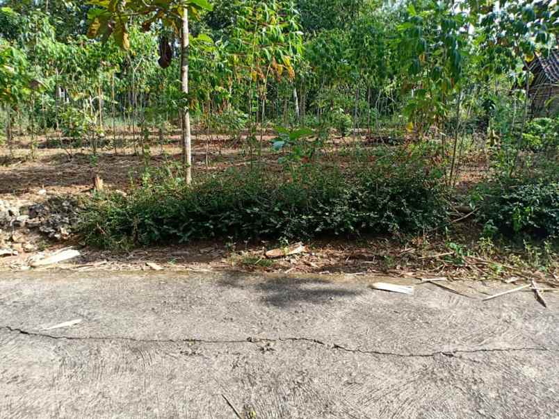 tanah mojogedang karanganyar