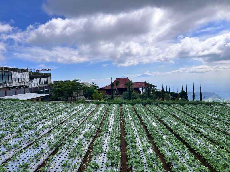 tanah pondasi 1010m cocok untuk bangun villa wisata