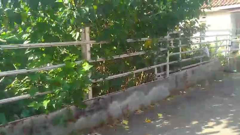 tanah rata dan padat tengah pemukiman