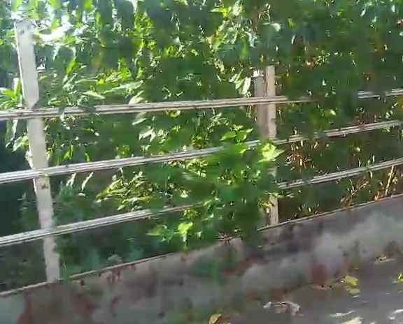 tanah rata dan padat tengah pemukiman