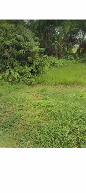 tanah rata dan strategis tengah pemukiman