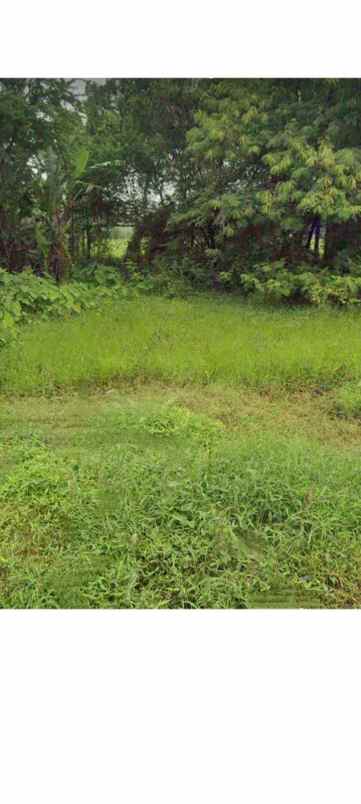 tanah rata dan strategis tengah pemukiman