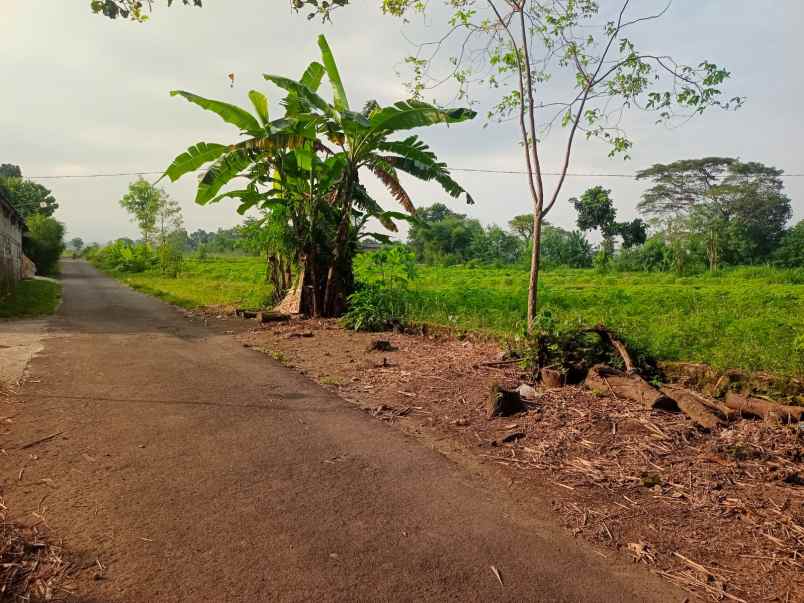 tanah shm murah manisrenggo klaten