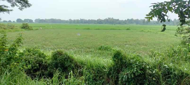 tanah siap bangun daerah industri dekat raya kamal