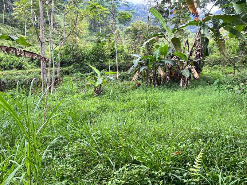 tanah strategis dekat area wisata kemuning karanganyar