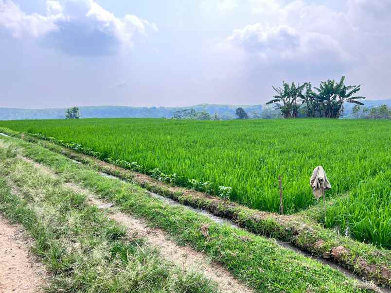 tanah view gunung lawu 1000m karanganyar utara