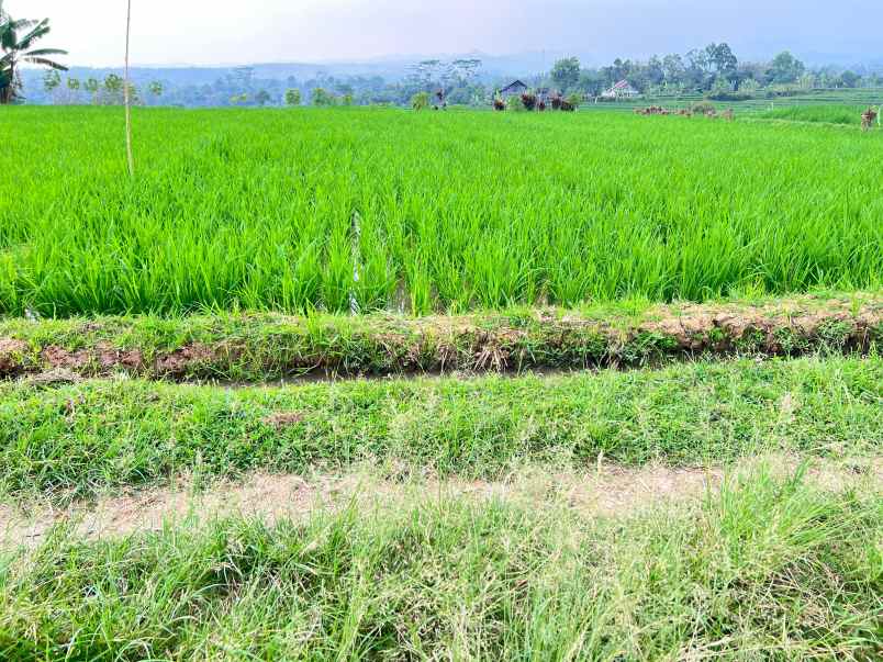 tanah view gunung lawu 1000m karanganyar utara