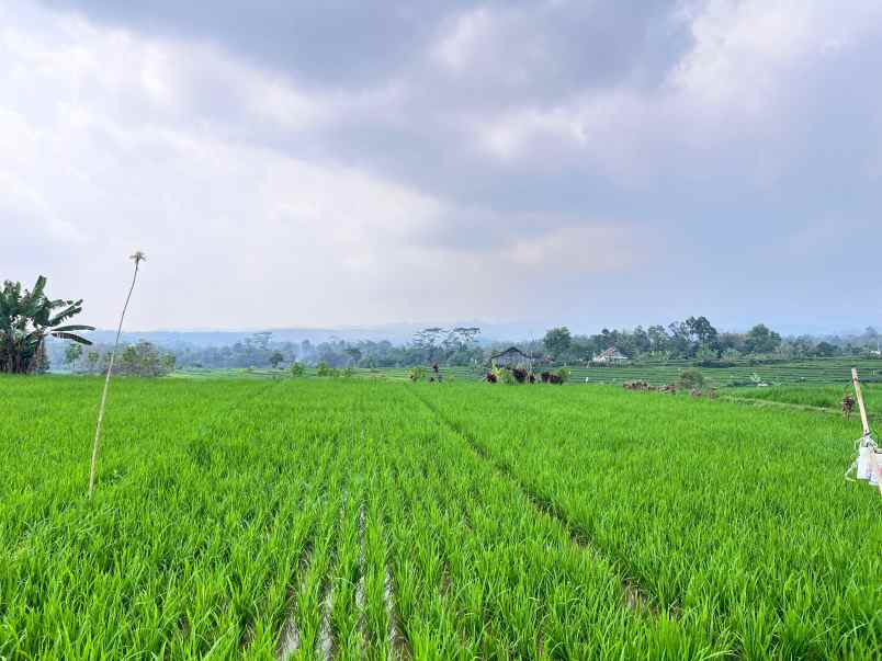 tanah view gunung lawu 1000m karanganyar utara