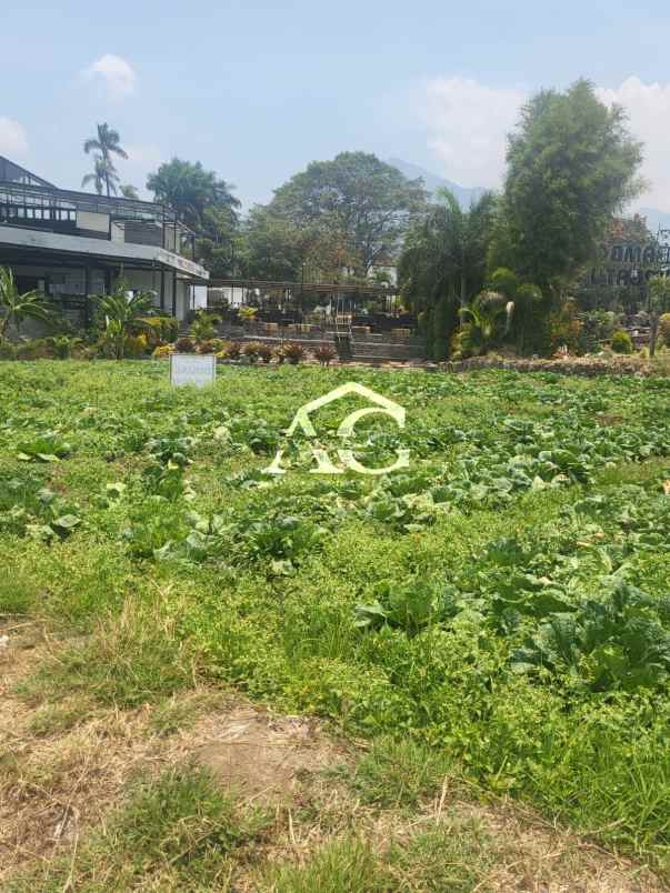 di tanah di pesanggrahan batu malang