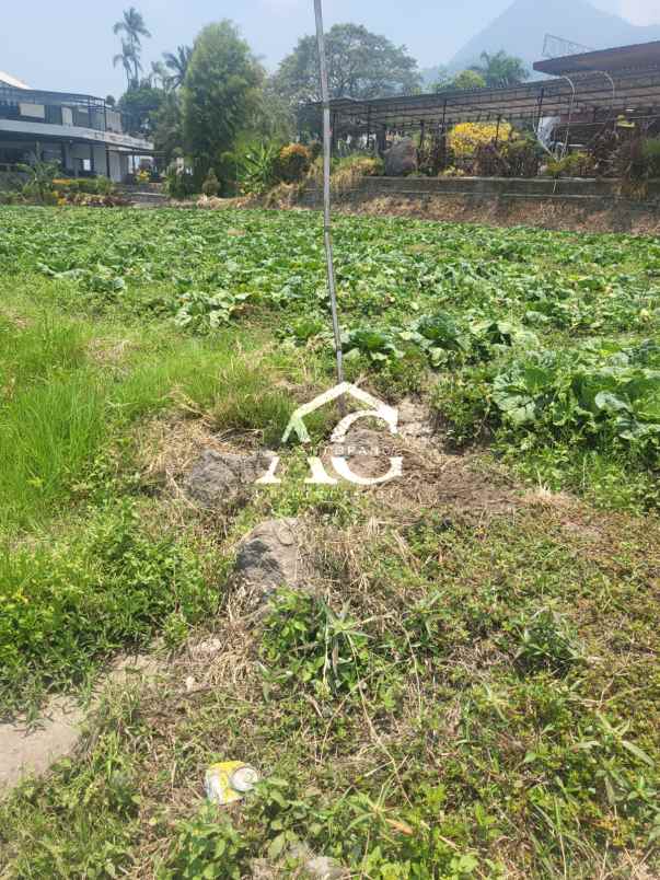 di tanah di pesanggrahan batu malang