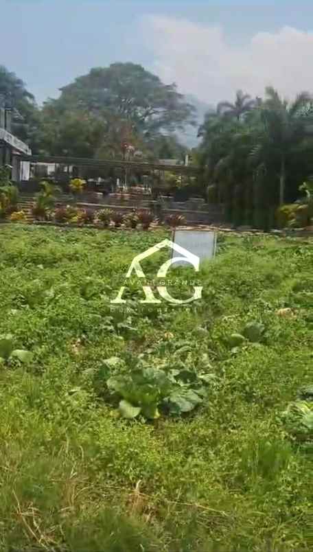 di tanah di pesanggrahan batu malang