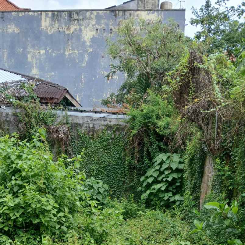 dijual 3 are jl pulau ayu teuku umar denpasar