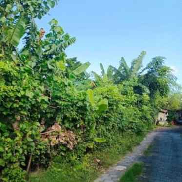 dijual 5 are jl gelogor carik pemogan denpasar selatan