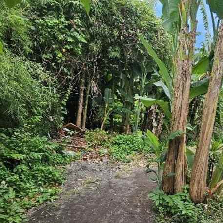 dijual 8 5 are jl raya padonan tibubeneng kuta utara