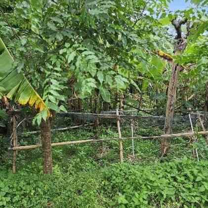 dijual 8 5 are jl raya padonan tibubeneng kuta utara