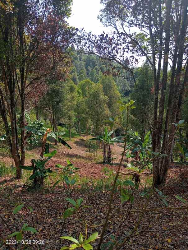 dijual lahan produktif