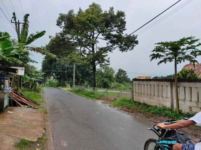 dijual luas tanah 1000 m