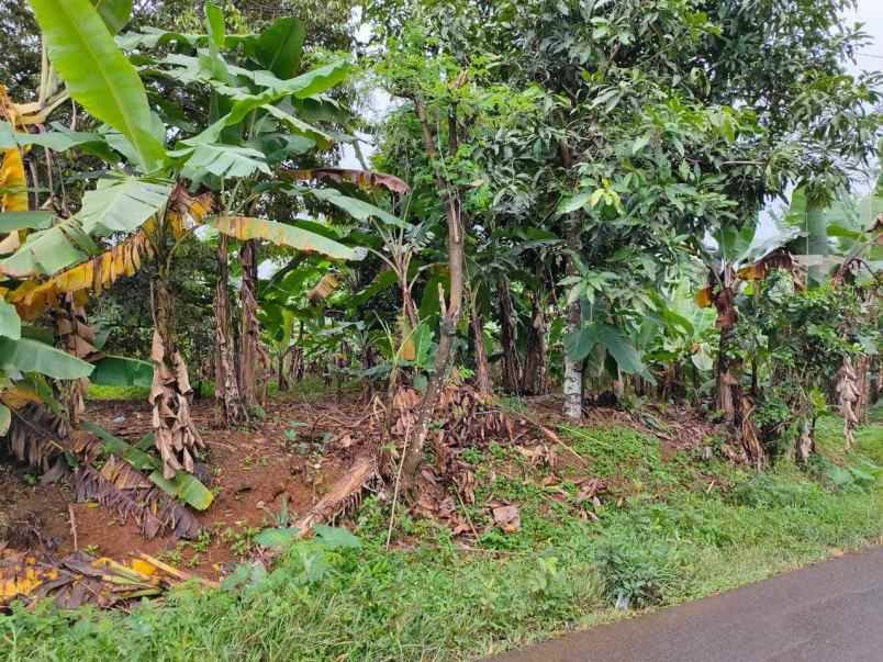 dijual luas tanah 1000 m