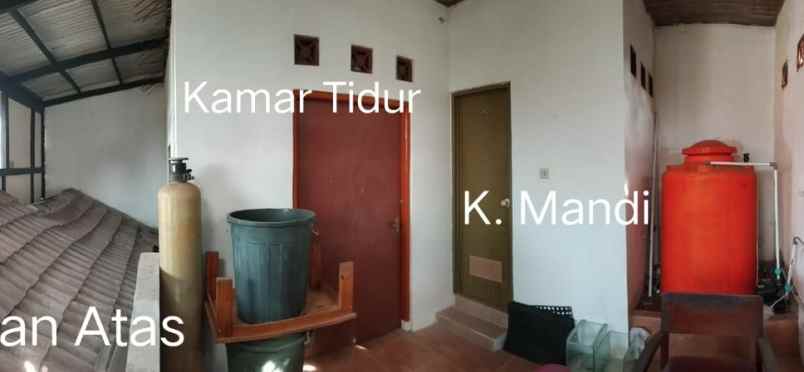 dijual rumah cihideung ilir ciampea bogor
