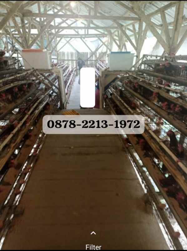 dijual rumah ciwidey kab bandung