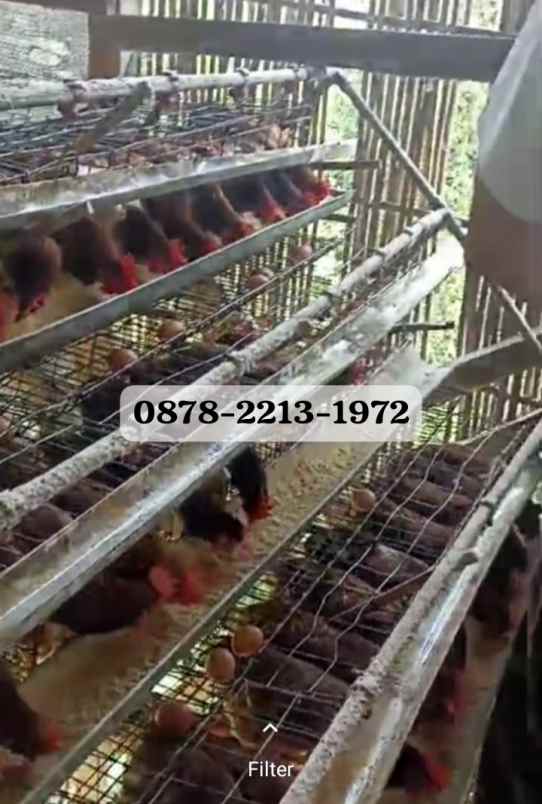 dijual rumah ciwidey kab bandung