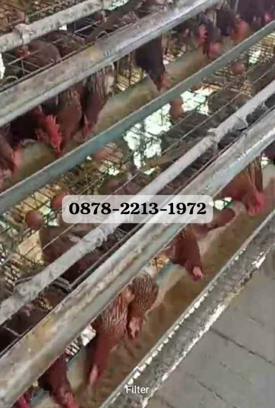 dijual rumah ciwidey kab bandung