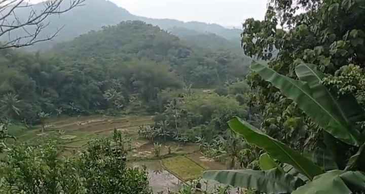 dijual rumah dijual rumah di kp