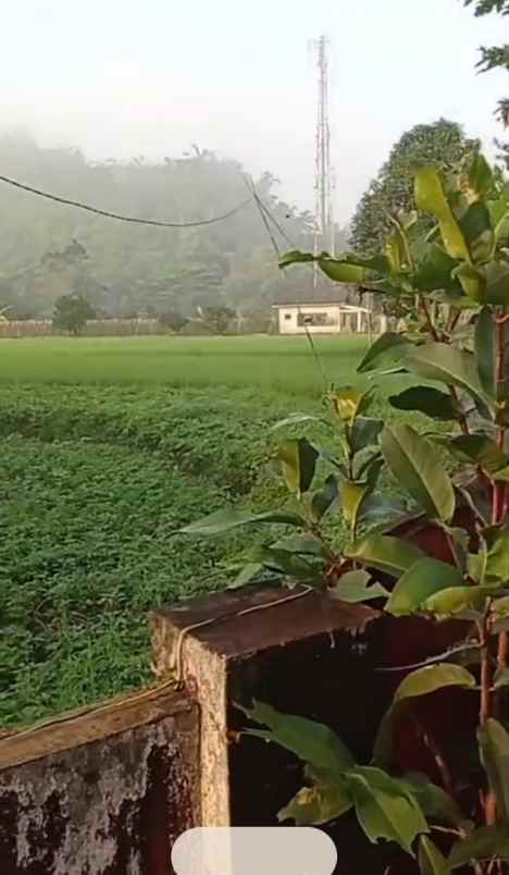 dijual rumah dijual rumah di kp