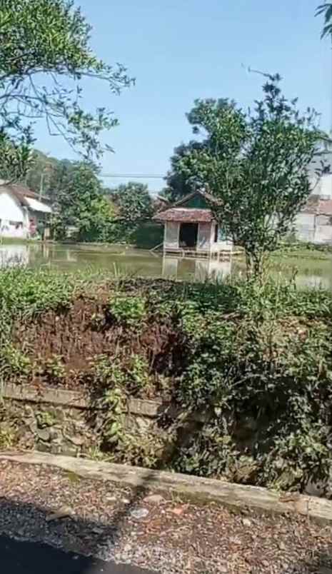dijual rumah dijual rumah di kp