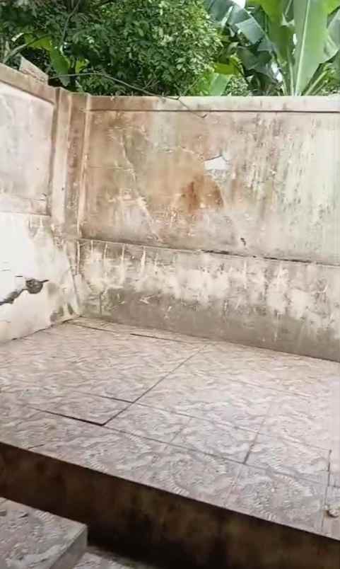 dijual rumah jl raya jasinga tenjo bogor