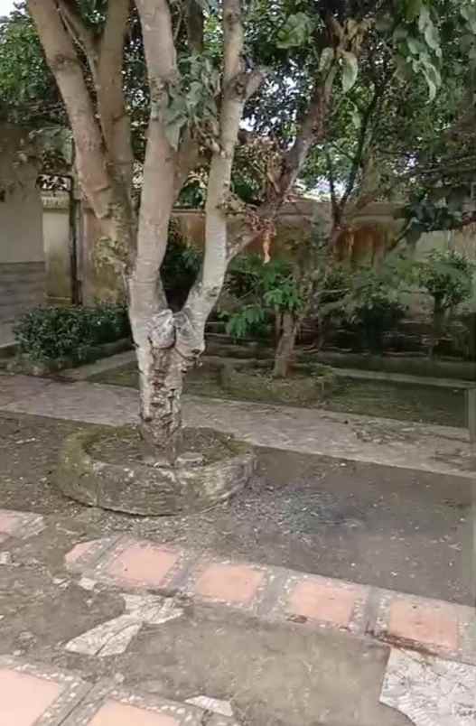 dijual rumah jl raya jasinga tenjo bogor