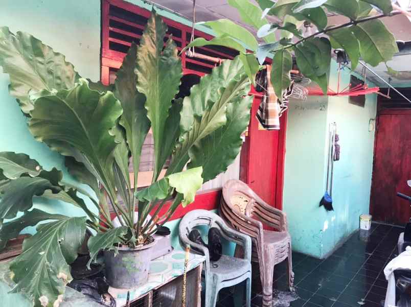 dijual rumah jl ulujami raya gang palm