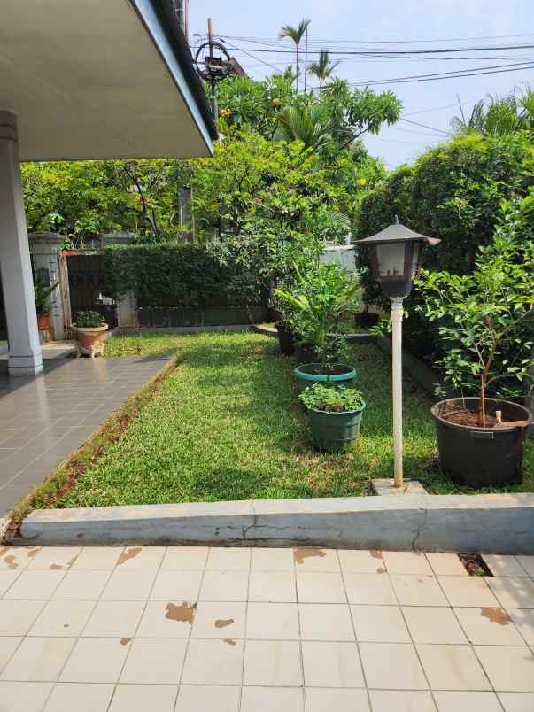 dijual rumah kelapa cengkir kelapa gading