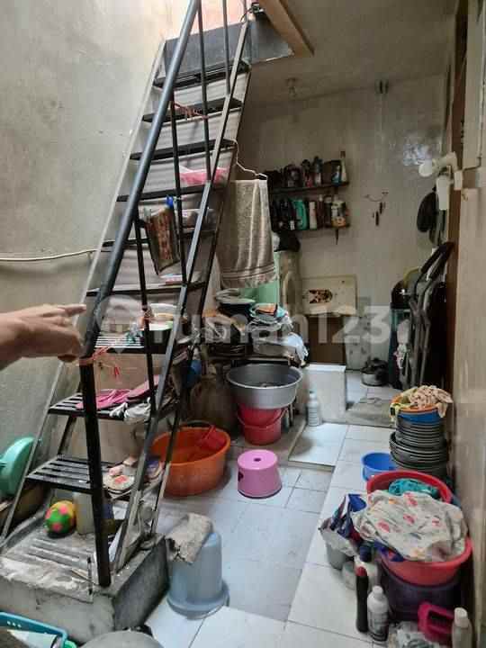 dijual rumah kelapa cengkir kelapa gading