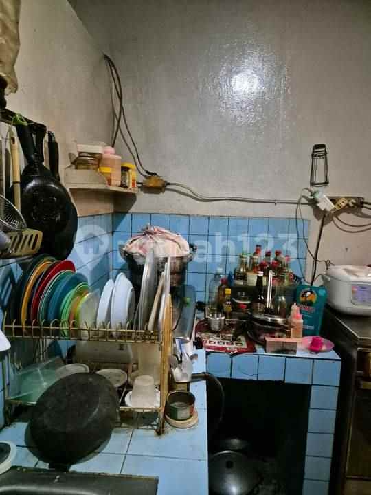 dijual rumah kelapa cengkir kelapa gading