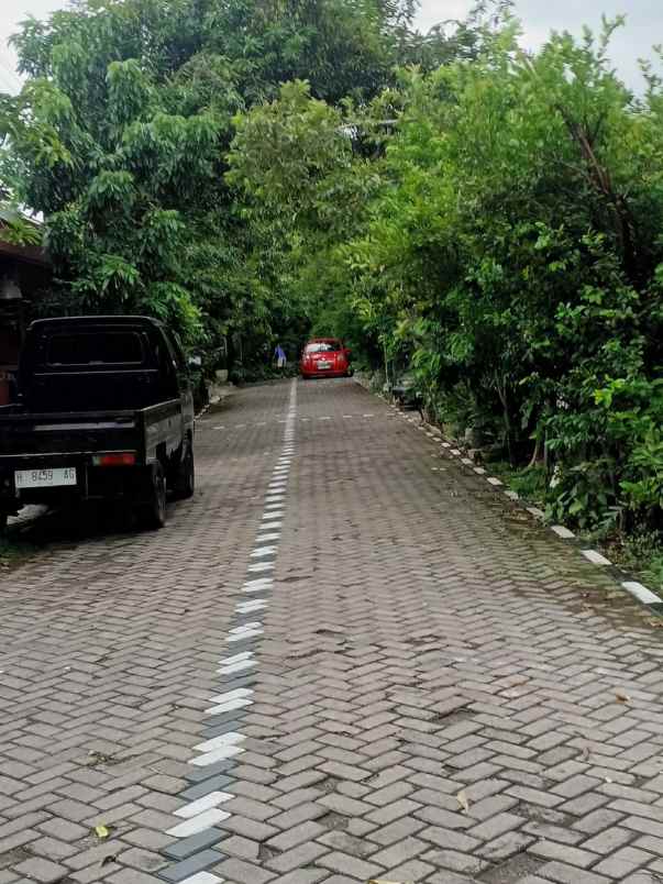 dijual rumah ketileng