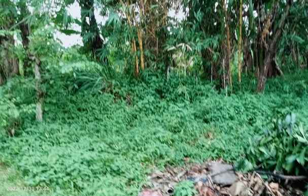 dijual tanah 2500 m2 setu bekasi