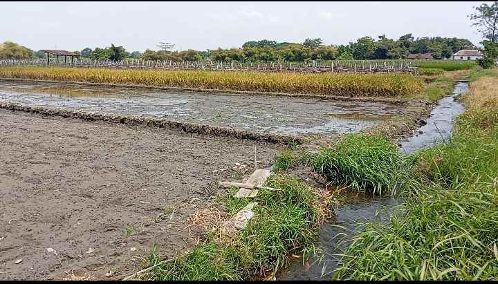 dijual tanah banyudono