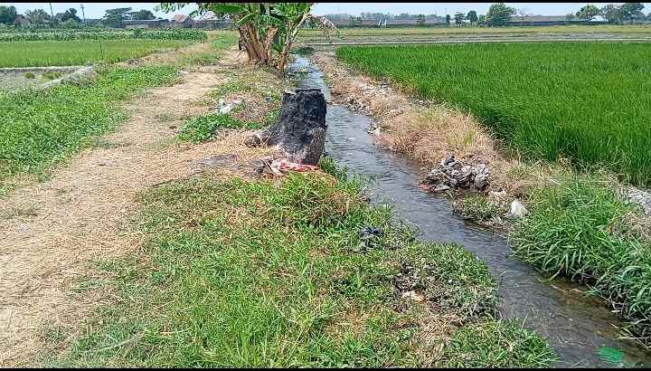 dijual tanah banyudono