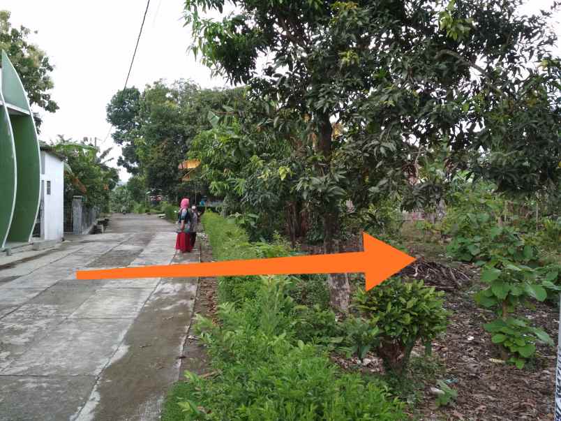 dijual tanah barong desa pendem