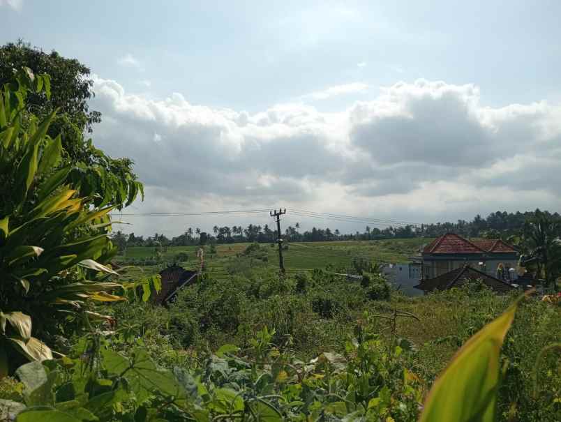 dijual tanah batuaji kerambitan tabanan