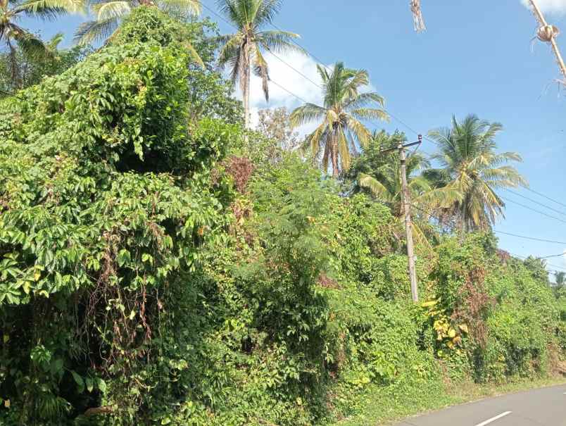 dijual tanah batuaji kerambitan tabanan